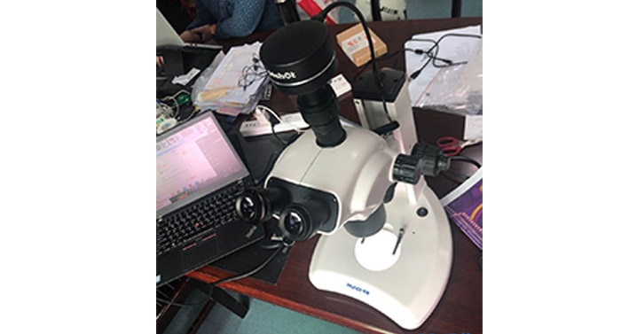 看植物花粉，叶尖等形貌用什么显微镜及显微镜相机？