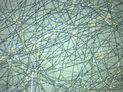 明美金相显微镜助力河南大学纳米线观察