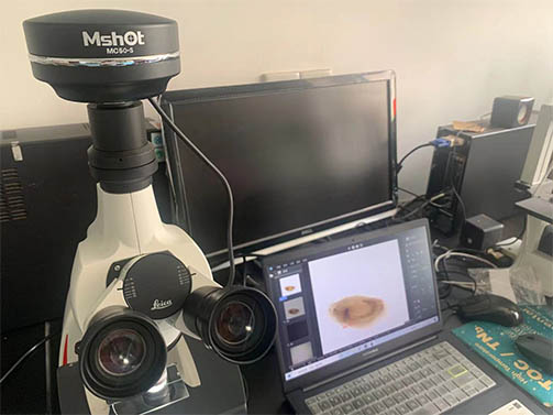 显微镜相机助力中科院南海海洋研究所海洋浮游生物观察