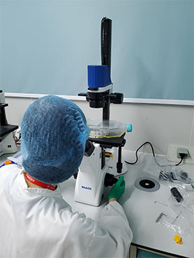 明美细胞工厂显微镜用于活体细胞观察