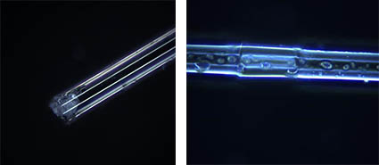 明美金相显微镜MJ33应用于光纤结构检测