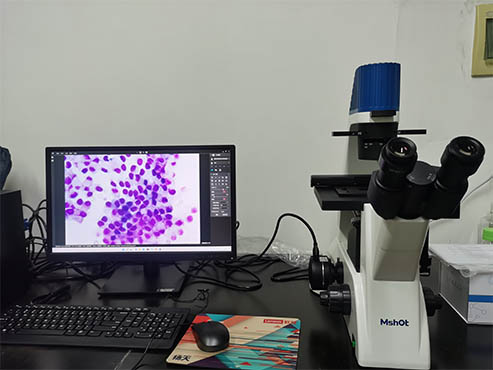 明美倒置生物显微镜助力中南大学湘雅公共卫生学院细胞培养