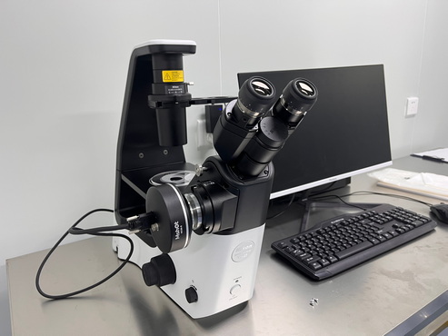 明美显微镜相机MC50-S搭配尼康TS2显微镜用于活细胞成像