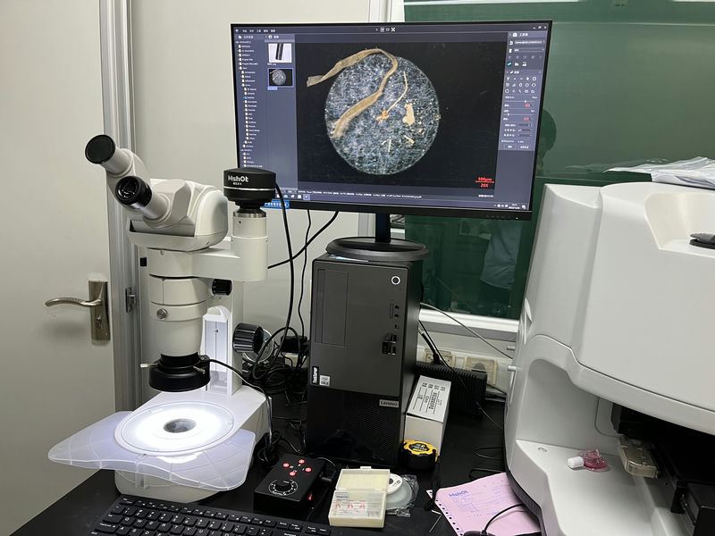 体视显微镜MZX100应用于海洋微塑料观察