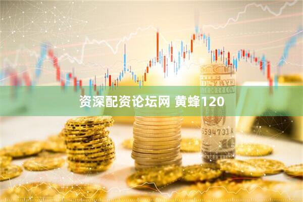 资深配资论坛网 黄蜂120